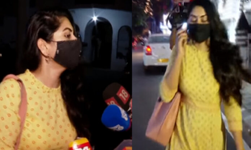 മോൻസന്‍റെ വീട്ടിൽ പോയത് കലാകാരിയെന്ന നിലയിൽ; സാമ്പത്തിക ഇടപാടുകളില്ലെന്ന് ശ്രുതി ലക്ഷ്മി