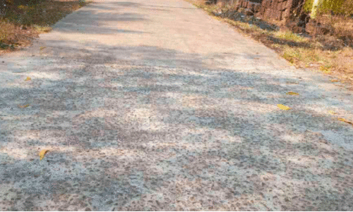 റോഡ് നിർമാണ ക്രമക്കേട് ആരോപിച്ച് വിജിലൻസിന് പരാതി