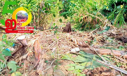 കൊലവിളിയുമായി വന്യജീവികൾ