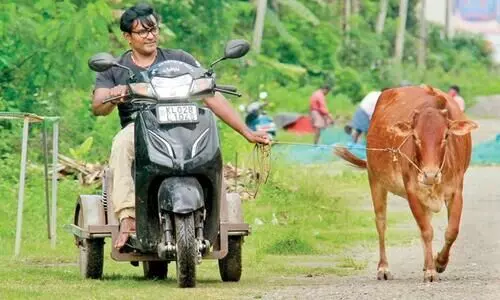 തളരാത്ത മനസ്സുമായി ജോൺസൺ വിധിയോട് പോരാടുകയാണ്