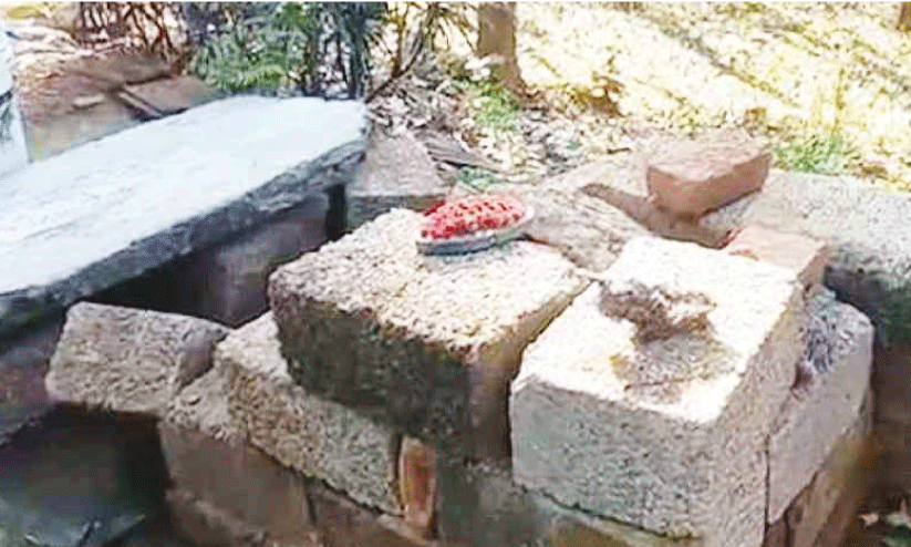 എച്ചിപ്പാറ ജനവാസ മേഖലയിൽ വീണ്ടും കാട്ടാനകളിറങ്ങി എച്ചിപ്പാറ ജനവാസ മേഖലയിൽ വീണ്ടും കാട്ടാനകളിറങ്ങി