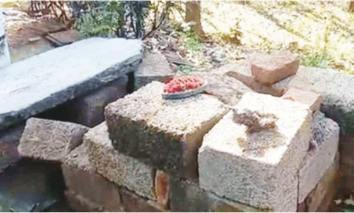 എച്ചിപ്പാറ ജനവാസ മേഖലയിൽ വീണ്ടും കാട്ടാനകളിറങ്ങി എച്ചിപ്പാറ ജനവാസ മേഖലയിൽ വീണ്ടും കാട്ടാനകളിറങ്ങി