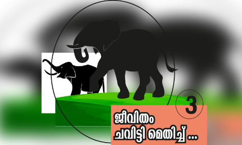 നാട്​ കൈയേറി വന്യമൃഗങ്ങൾ​