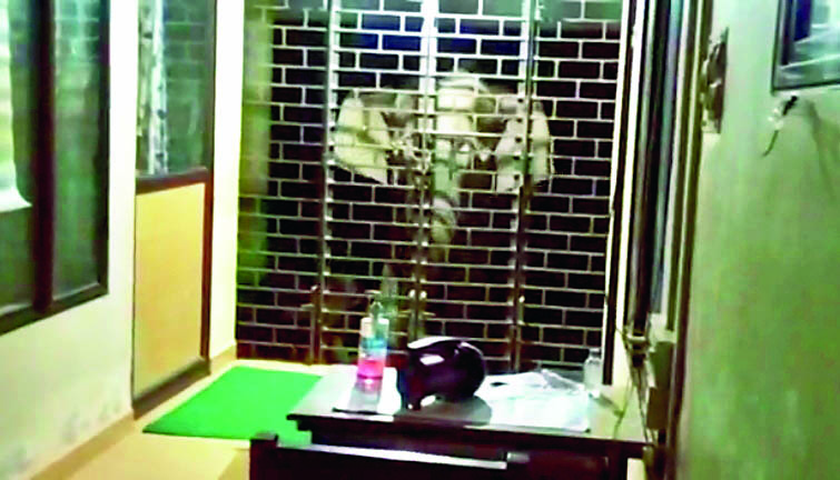 പറമ്പിക്കുളം പൊലീസ് സ്റ്റേഷൻ വാതിൽ കാട്ടാനകൾ തകർത്തു പറമ്പിക്കുളം പൊലീസ് സ്റ്റേഷൻ വാതിൽ കാട്ടാനകൾ തകർത്തു