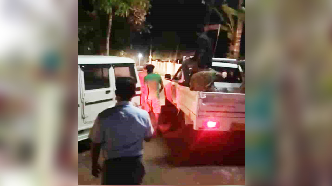 കാട്ടുപോത്തിനെ കാടുകയറ്റി; ആശങ്കയകന്ന് നാട്ടുകാർ കാട്ടുപോത്തിനെ കാടുകയറ്റി; ആശങ്കയകന്ന് നാട്ടുകാർ