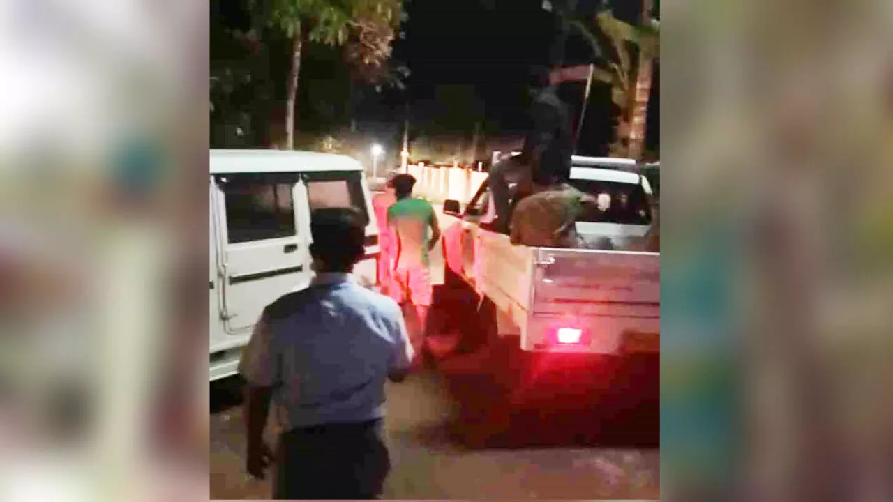 കാട്ടുപോത്തിനെ കാടുകയറ്റി; ആശങ്കയകന്ന് നാട്ടുകാർ കാട്ടുപോത്തിനെ കാടുകയറ്റി; ആശങ്കയകന്ന് നാട്ടുകാർ