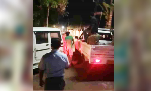 കാട്ടുപോത്തിനെ കാടുകയറ്റി; ആശങ്കയകന്ന് നാട്ടുകാർ കാട്ടുപോത്തിനെ കാടുകയറ്റി; ആശങ്കയകന്ന് നാട്ടുകാർ