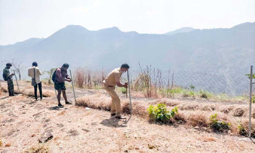 കുതിരകുത്തി വ്യൂപോയൻറിലെ കൈയേറ്റം ഒഴിപ്പിച്ചു
