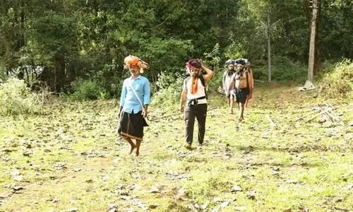 sabarimala pilgrimage