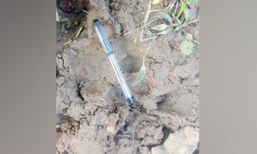 കുറുക്കൻമൂലയിൽ വീണ്ടും കടുവ സാന്നിധ്യം