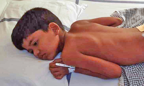 മലയോരത്ത്​ കാട്ടുപന്നിപ്പേടി