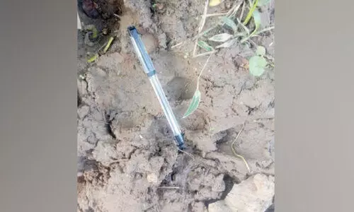 കുറുക്കൻമൂലയിൽ വീണ്ടും കടുവ സാന്നിധ്യം