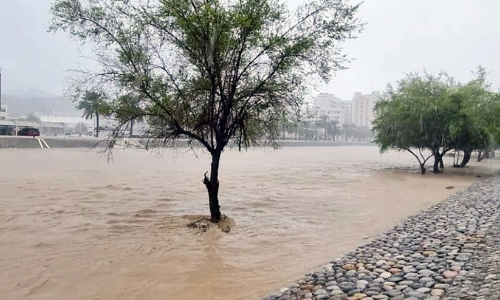 അ​തി​ജീ​വ​ന​ത്തി‍െൻറ ശ​ഹീ​ൻ