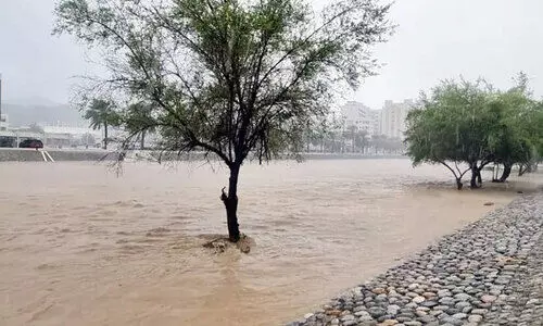 അതിജീവനത്തിെൻറ ശഹീൻ അതിജീവനത്തിെൻറ ശഹീൻ