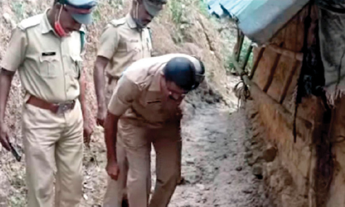 ജനവാസ മേഖലയിലെത്തിയ പുലി വളര്‍ത്തുനായെ ഭക്ഷിച്ചു; ജനം ഭീതിയില്‍