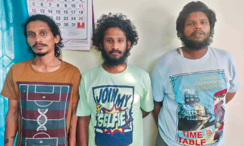 ലഹരിവസ്തുക്കളുമായി മൂന്നുപേർ പിടിയിൽ
