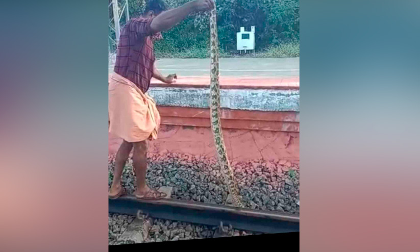 പാളത്തിൽ പെരുമ്പാമ്പ്; നാട്ടുകാരുടെ കരുതലിൽ വീണ്ടും കാട്ടിലേക്ക് പാളത്തിൽ പെരുമ്പാമ്പ്; നാട്ടുകാരുടെ കരുതലിൽ വീണ്ടും കാട്ടിലേക്ക്