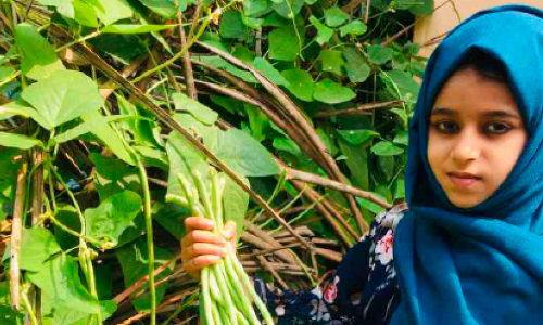 കൃഷിയിൽ താരമായി അഞ്ചാം ക്ലാസുകാരി സന