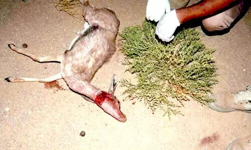 മൃ​ഗ​ങ്ങ​ളെ വേ​ട്ട​യാ​ട​ൽ; ന​ട​പ​ടി ശ​ക്ത​മാ​ക്കി അ​ധി​കൃ​ത​ർ