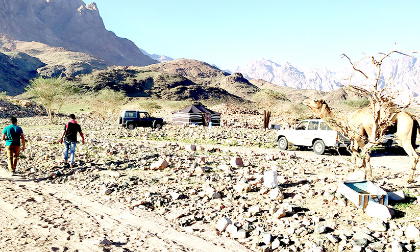 മരുഭൂമിയിൽ ശൈത്യകാലം ആസ്വദിക്കാൻ സഞ്ചാരികളുടെ വരവായി മരുഭൂമിയിൽ ശൈത്യകാലം ആസ്വദിക്കാൻ സഞ്ചാരികളുടെ വരവായി