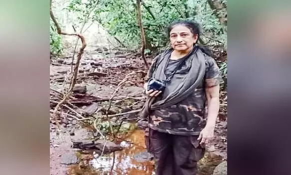 SHIBI MOSASS SHIBI MOSASS