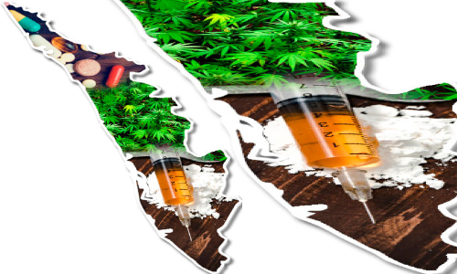 മാ​ര​ക ല​ഹ​രി​വ​സ്തു​ക്ക​ളു​ടെ വി​പ​ണ​ന​കേ​ന്ദ്ര​മാ​യി കേ​ര​ളം മാ​റി​യ​താ​യി ക​ണ​ക്കു​ക​ൾ...