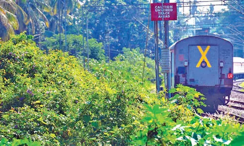 കല്ലായി​ വിട്ടാൽ കാടാണ്​ കാട്​; ല​ഹ​രി വി​ൽ​പ​ന​ക്കാ​രു​ടെ പ്ര​ധാ​ന ഒ​ളി​ത്താ​വ​ള​ങ്ങ​ളി​ലൊ​ന്നാ​യി റെയിൽവേ ട്രാ​ക്ക്​