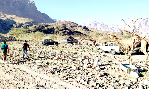 മ​രു​ഭൂ​മി​യി​ൽ ശൈ​ത്യ​കാ​ലം ആ​സ്വ​ദി​ക്കാ​ൻ സ​ഞ്ചാ​രി​ക​ളു​ടെ വ​ര​വാ​യി