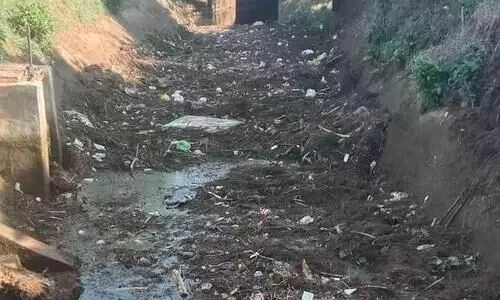 പെരിയാർവാലി കനാലിൽ മാലിന്യം കെട്ടിക്കിടക്കുന്നു
