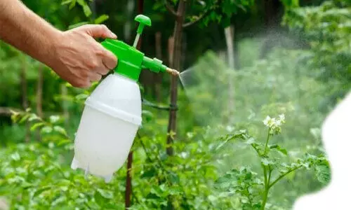 Fertilizer Famine Farmers in Distress