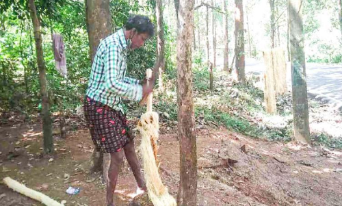 സോപ്പിൽ വഴുതാതെ ഇഞ്ച വിപണി