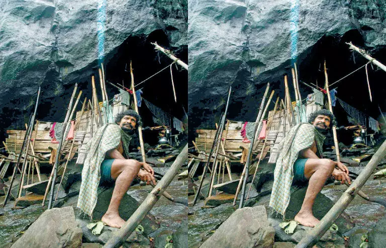Rehabilitation project for cave dwellers