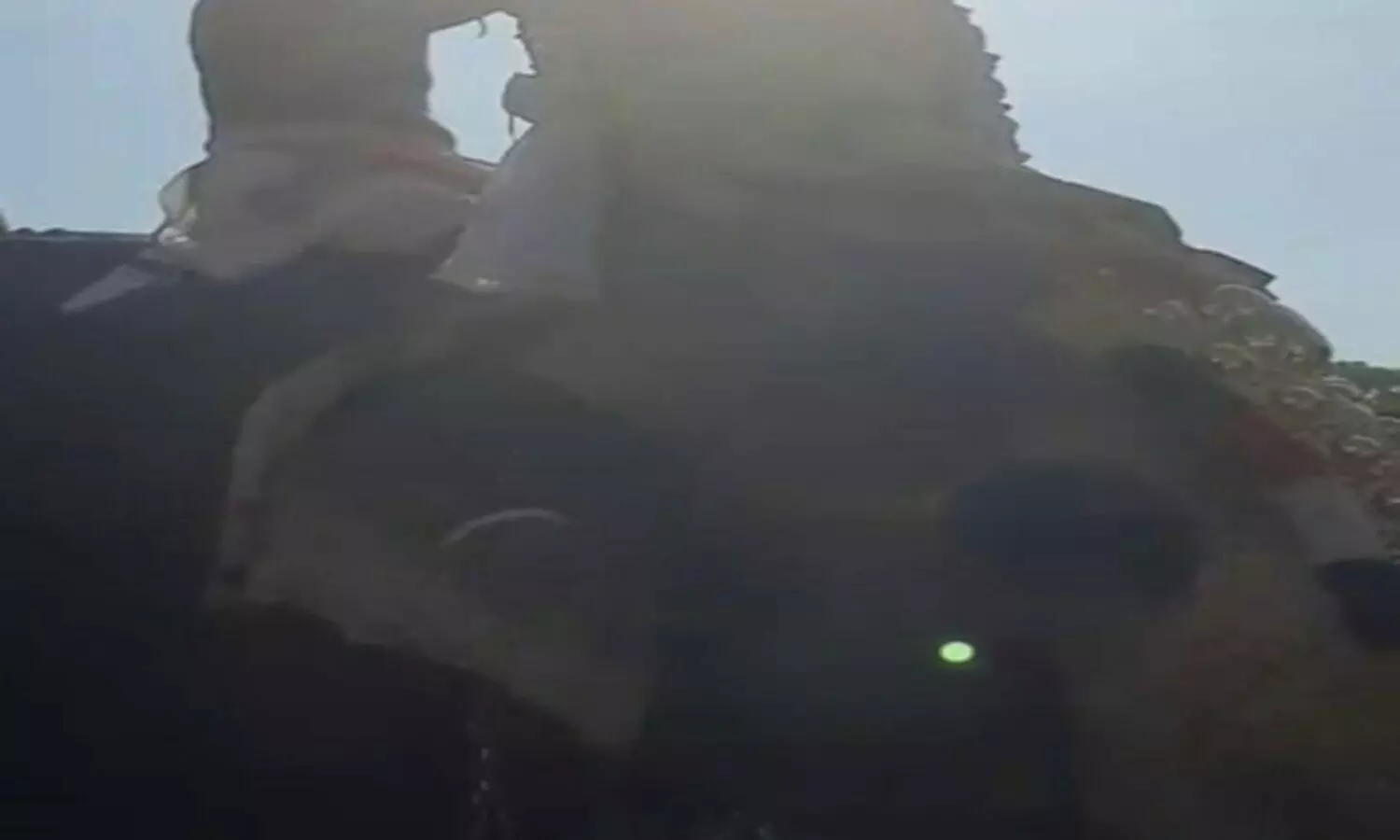 എഴുന്നെള്ളിപ്പിനിടെ ആനയുടെ കണ്ണിൽ ലേസർ രശ്മിയടിച്ചതായി പരാതി