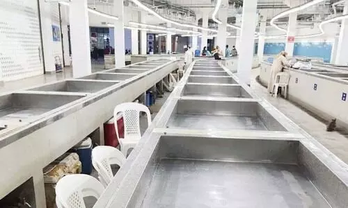 മീൻ എത്തിയിട്ട് ദിവസങ്ങൾ; ആരവമൊഴിഞ്ഞ് മത്ര മാർക്കറ്റ് മീൻ എത്തിയിട്ട് ദിവസങ്ങൾ; ആരവമൊഴിഞ്ഞ് മത്ര മാർക്കറ്റ്