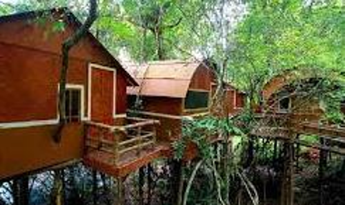 Konni-Konni-Atavi Eco Tourism Atavi Eco Tourism