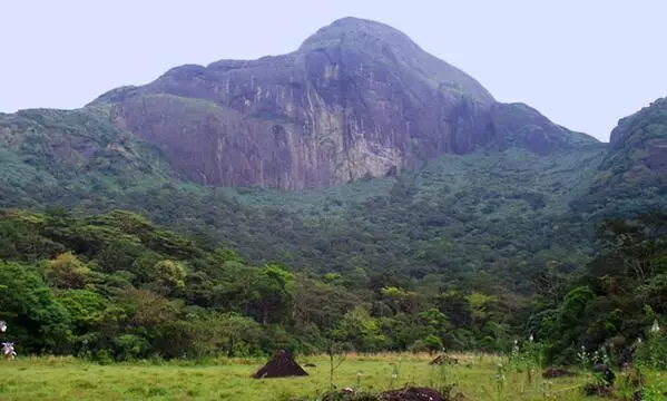 അഗസ്ത്യാർകൂടം ട്രെക്കിങ്​: ഓൺലൈൻ ബുക്കിങ്​​ ബുധനാഴ്ച തുടങ്ങും