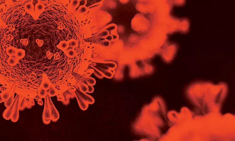 കോവിഡ് ബാധിച്ചയാൾ നമസ്കാരത്തിൽ പങ്കെടുത്തു: പള്ളി അടച്ചിടാൻ നീതിന്യായ, ഇസ്ലാമിക കാര്യ മന്ത്രാലയം ഉത്തരവിട്ടു കോവിഡ് ബാധിച്ചയാൾ നമസ്കാരത്തിൽ പങ്കെടുത്തു: പള്ളി അടച്ചിടാൻ നീതിന്യായ, ഇസ്ലാമിക കാര്യ മന്ത്രാലയം ഉത്തരവിട്ടു