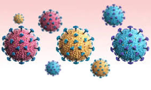 1500 ക​ട​ന്ന്​ കോ​വി​ഡ്​ ബാ​ധി​ത​ർ; 232 പേ​ർ​ക്കു​കൂ​ടി രോ​ഗം സ്ഥി​രീ​ക​രി​ച്ചു