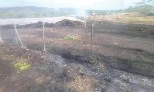 വേനൽചൂട്: സോളാർ പാടങ്ങളിലെ പുല്ലിൽ തീ പടരുന്നു
