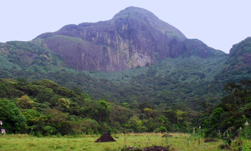 അഗസ്ത്യകൂടം സീസൺ ട്രക്കിങ്​​: ഓൺലൈൻ ബുക്കിങ് തീയതി മാറ്റി