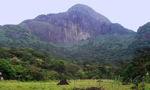 അഗസ്ത്യാർകൂടം ട്രെക്കിങ്​: ഓൺലൈൻ ബുക്കിങ്​​ ബുധനാഴ്ച തുടങ്ങും