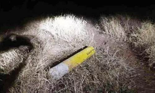 മാ​ടാ​യി​പ്പാ​റ​യി​ൽ കെ-റെയിൽ സർവേക്കല്ല് പിഴുതുമാറ്റി