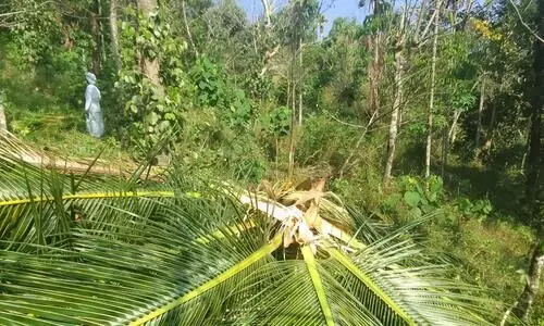 Virinjappara Elephant attack