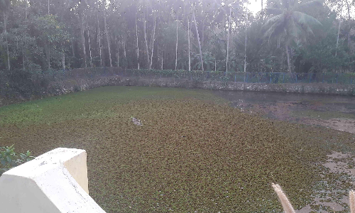 Maruthamon Church Chira