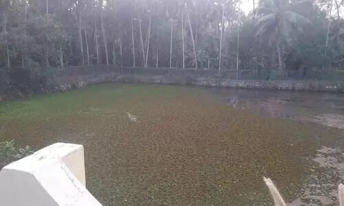 Maruthamon Church Chira