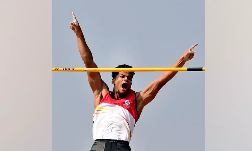 pole vault pole vault