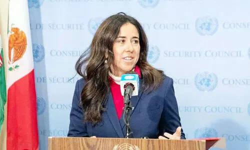 യു.എൻ രക്ഷാസമിതിയിൽ യു.എ.ഇ പതാക സ്ഥാപിച്ചു; അംഗത്വ കാലത്തിന്​ തുടക്കം