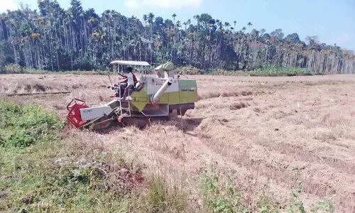 വിടവാങ്ങുന്നത്​ യന്ത്രങ്ങൾ   ഏറ്റെടുത്ത വിളവെടുപ്പുകാലം