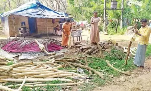 ആ​ദി​വാ​സി കോ​ള​നി​ക​ളി​ല്‍ ഇ​ഞ്ച ത​ല്ലും കാ​ലം