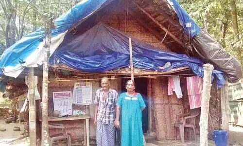 അധികൃതർ തിരിഞ്ഞു നോക്കുന്നില്ല; വയോദമ്പതികൾ കഴിയുന്നത് ദ്രവിച്ച കുടിലിൽ